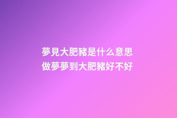 夢見大肥豬是什么意思 做夢夢到大肥豬好不好